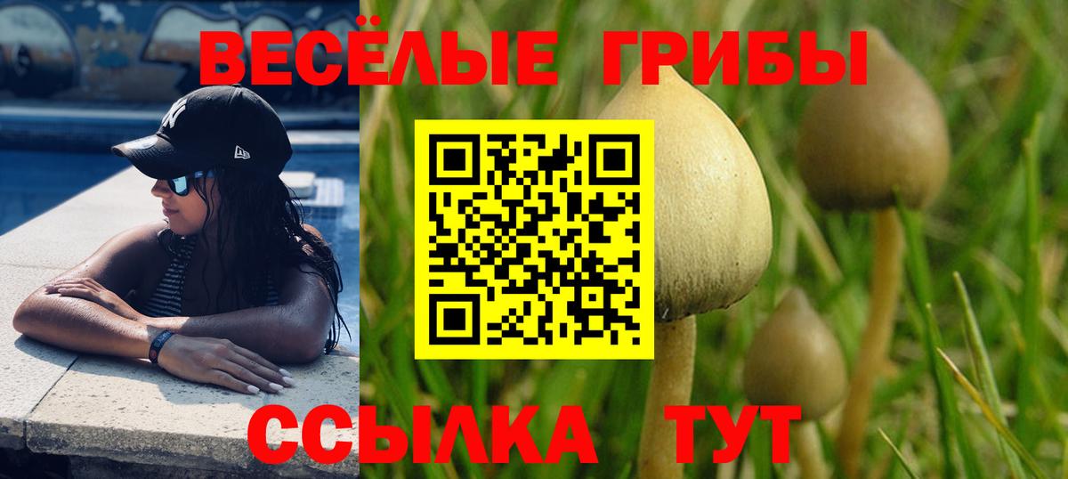 Псилоцибиновые грибы GOLDEN TEACHER Советский
