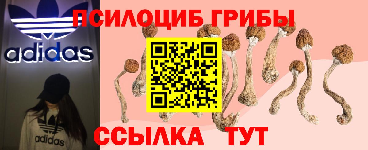 Галлюциногенные грибы прущие грибы  Вход с VPN  Советский 